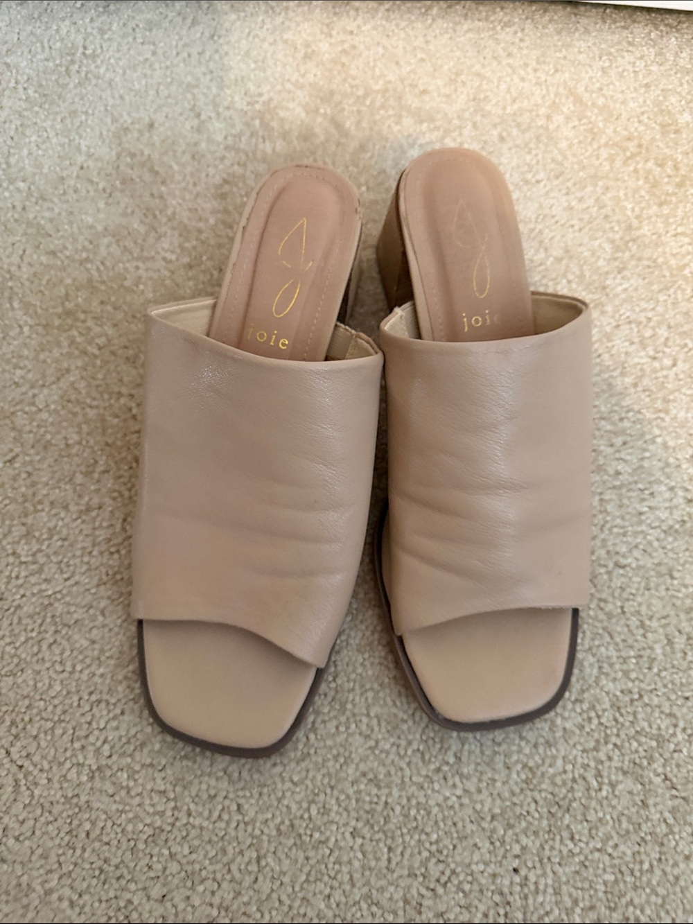 Joie Nude Leather Square-Toe Slide Mules
